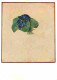 Art - Peinture - Albrecht Durer - Small Bunch Of Violetts - CPM - Voir Scans Recto-Verso - Malerei & Gemälde