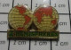 812c PINS PIN'S / Beau Et Rare : ESPACE / GLOBE TERRESTRE 2 HEMISPHERES - Espace