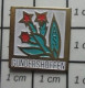 121 Pin's Pins / Beau Et Rare / VILLES / GUNDERSHOFFEN CHARDON ? FLEUR ROUGE - Steden