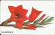 Germany: Telekom PD 3 98 Blume Gladiole - P & PD-Serie : Sportello Della D. Telekom