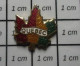 121 Pin's Pins / Beau Et Rare : VILLES / QUEBEC FEUILLE D'ERABLE - Cities