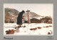 SERRA D'ARGA - Manhã De Inverno - LUSOCOLOR  (2 Scans) - Viana Do Castelo