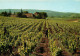 JURA DOMAINE DU SORBIEF PROPRIETE HENRI MAIRE PAYSAGE ROMANTIQUE(scan Recto-verso) KEVREN0463 - Arbois