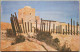 ISRAEL KKL KAKAL KEREN KAYEMET REVIVIM OUTPOST JNF JUDAICA AK PC CP POSTKARTE CARTE POSTALE POSTCARD ANSICHTSKARTE CARD - Adesivi Di Alberghi