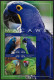 NEVIS - OISEAUX - PERROQUETS - N° 2505 A 2508 ET 2508A A 2508D - NEUF** MNH - Papagayos