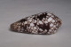 Conus Episcopatus - Seashells & Snail-shells