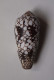 Conus Episcopatus - Seashells & Snail-shells