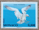 Monaco - YT N°2881 - Sepac / Vie Sauvage / Goéland Leucophée - 2013 - Neuf - Unused Stamps