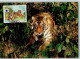 10507102 - Raubkatzen Tiger - WWF Karte Mit Briefmarke - Lions