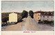 CREMONA - VIALE PO - 1909 - Vedi Retro - Formato Piccolo - Cremona