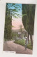 CROATIA TRSTENO Nice Postcard - Kroatien