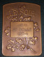 BELGIQUE Pierre THEUNIS Médaille Art Nouveau Pour Le Soir Jeu De Balle 1954 Grand Format - Adel