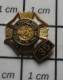 222 Pin's Pins / Beau Et Rare / MILITARIA / VFW: The Veterans Of Foreign Wars Of The U.S. DEPARTMENT OF EUROPE - Army