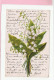 CARTE FLEURS MUGUET - Flowers