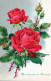 FLOWERS Vintage Postcard CPSMPF #PKG011.GB - Flowers