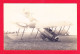 Aviation-622Ph115  Carte Photo, L'accident D'un Avion SALMSOM, BE - Ongevalen