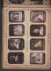 Delcampe - Collection Melia Manufacture Tabac D'Alger (Algérie) Album De 398 Images De Femmes Nues Ou Autres,couverture Style Mucha - Documenti