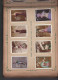 Delcampe - Collection Melia Manufacture Tabac D'Alger (Algérie) Album De 398 Images De Femmes Nues Ou Autres,couverture Style Mucha - Documents