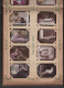 Delcampe - Collection Melia Manufacture Tabac D'Alger (Algérie) Album De 398 Images De Femmes Nues Ou Autres,couverture Style Mucha - Documentos