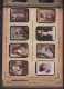 Delcampe - Collection Melia Manufacture Tabac D'Alger (Algérie) Album De 398 Images De Femmes Nues Ou Autres,couverture Style Mucha - Documentos