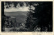 Astenberg - Ausblick Ins Nuhnetal Bei Winterberg - Winterberg