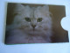 CARDBOX FOR PHONECARDS  ANIMALS DOGS  BACK CATS - Hunde