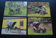 4 GRANDES CARTES (15 X 21 Cm) DE DION BOUTON 1900 - 1903 - RENAULT 8 CV 1907 - Ford Modell N 1906 Non Circulées - KFZ