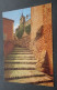 Roussillon (Vaucluse) - Un Aspect Du Pittoresque Village - Editions CELLARD, Bron - Roussillon