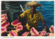 THE BAHAMA ISLANDS, Bahamas, Conch Shells JOHN HINDE Vintage Photo Postcard Post Card Carte - Bahamas