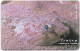 Malta - Maltacom - Fish, Tracna - 05.2002, 95U, 10.000ex, Used - Malta