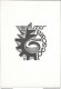 Am674 Ex Libris Pescara - Bookplates