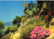 CPSM Côte D'Azur-Jardin Fleuri-Timbre         L2837 - Provence-Alpes-Côte D'Azur