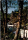 11-4-2024 (1 Z 38) France - Gorges De L'Auvézère (et Arbres) - Árboles