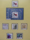 Delcampe - BRD Bund 1998-2001 Dual Besammelt Im Safe Dual Vordruck, Ohne Nominale #LX159 - Collections