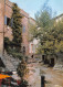 83-RAMATUELLE-N°3771-C/0101 - Ramatuelle