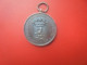 PAYS-BAS MEDAILLE 1877 (18 Grammes) (A.12) - Professionals/Firms