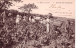Agriculture - Viticulture -  Le Beaujolais - Scenes De Vendange - Cultivation