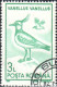 Delcampe - Roumanie Poste Obl Yv:3921/3930 Oiseaux (TB Cachet Rond) - Usati