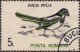 Roumanie Poste Obl Yv:4065/4074 Oiseaux (TB Cachet Rond) - Used Stamps