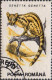 Delcampe - Roumanie Poste Obl Yv:4094/4103 Animaux Divers (TB Cachet Rond) - Used Stamps