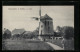 AK Gohlis / Elbe, Windmühle  - Windmills