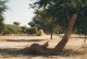 Delcampe - PHOTOGRAPHIES ORIGINALES / AFRIQUE - SENEGAL - DJOUGJ En 2000  (lot De 41 Photos) - Amérique