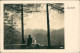 Ansichtskarte  Luginsland Stimmungsbild Natur 1943 - Unclassified
