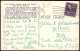 Postcard Lake Wales Florida Flamingos At The Singing Tower 1951 - Autres & Non Classés