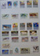 Delcampe - Collection De Timbres Sur Le Thème Des Animaux. - Collections (without Album)