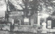 History Nostalgia Repro Postcard Fig Gardens Tarring 1900 - Histoire