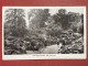 Cartolina - The Rock Garden - Kew Gardens - Regno Unito - 1914 - Non Classés