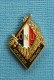 1 PIN'S /  ** INSIGNE DU BATAILLON FRANÇAIS DE L'ONU / RÉPUBLIQUE FRANÇAISE ** - Army