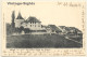 Erlach / Switzerland: Das Schloss Mit Altstadt / Le Chateau (Vintage PC 1904) - Cerlier