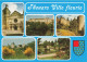 FRANCE - Thouars - Ville Fleurie - Châteaux - Colorisé - Carte Postale - Thouars